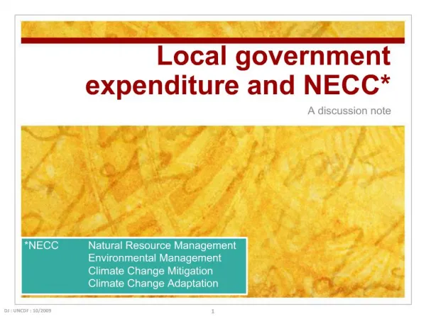 Local government expenditure and NECC