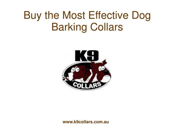 Buy the Most Effective Dog Barking Collars