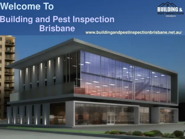 Strata Inspection Report Brisbane