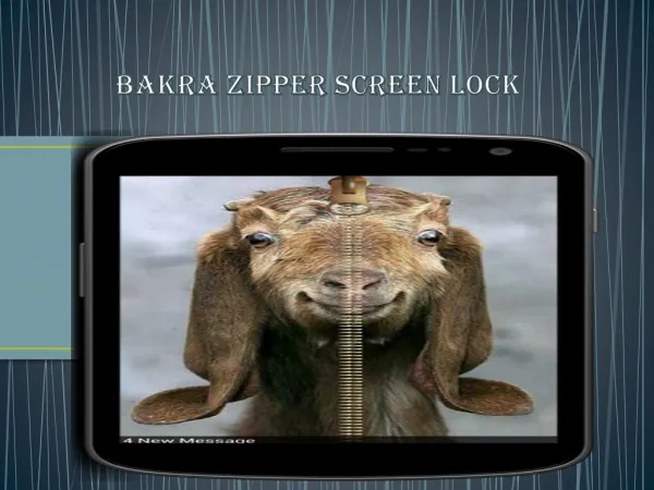 Bakra Zipper Screen Lock 2015