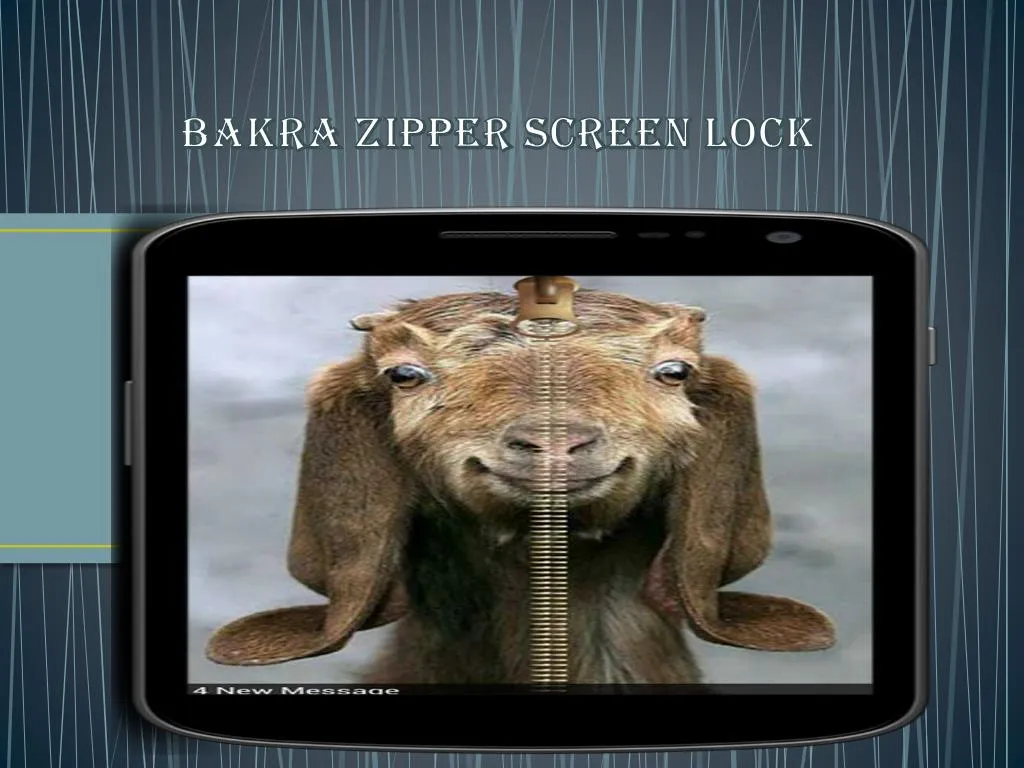 bakra zipper screen lock