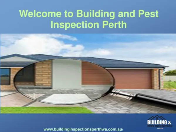 pest inspections perth