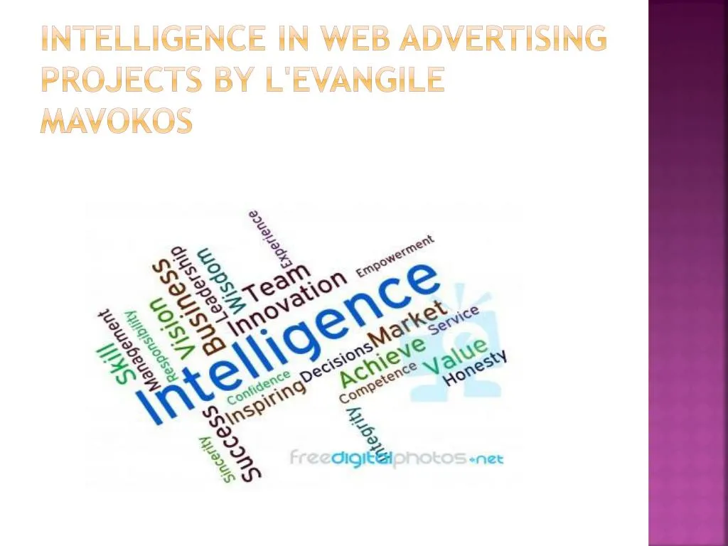 intelligence in web advertising projects by l evangile mavokos