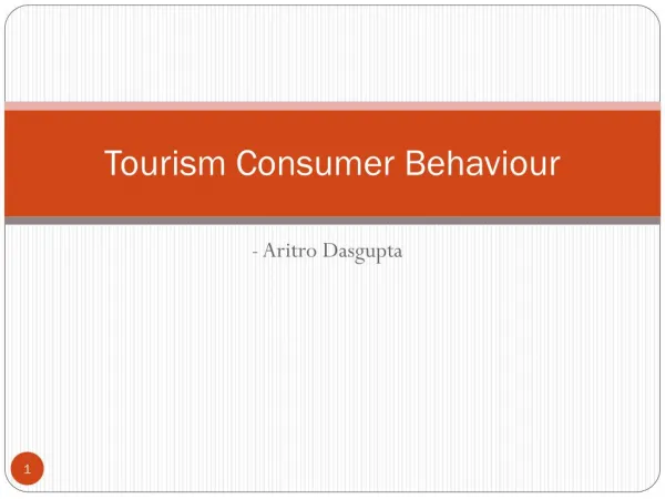 Tourism Consumer Behaviour at Skyline College