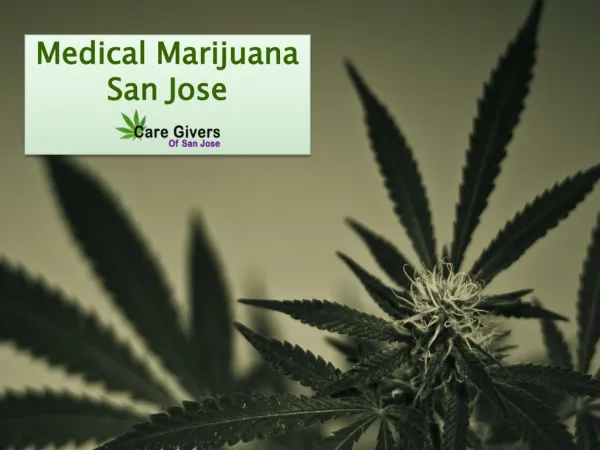 San Jose Medical Marijuana - Care Givers of San Jose