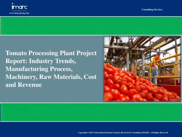 Rising Fast Food Consumption Driving the Tomato Processing Industry