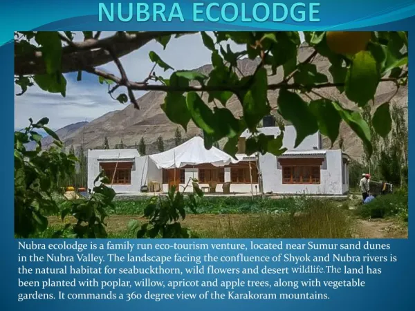 Nubra Ecolodge