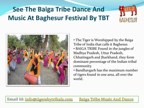 See The Baiga Tribe Dance And Music At Baghesur Festival