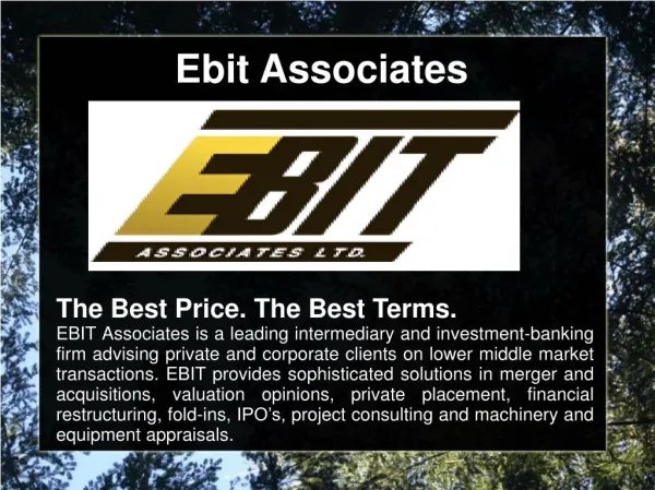 Ebit Associates Business Valuation Advisors