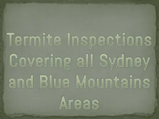 Termite Inspections - slide 1