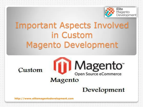 Important Aspects Involved in Custom Magento Development
