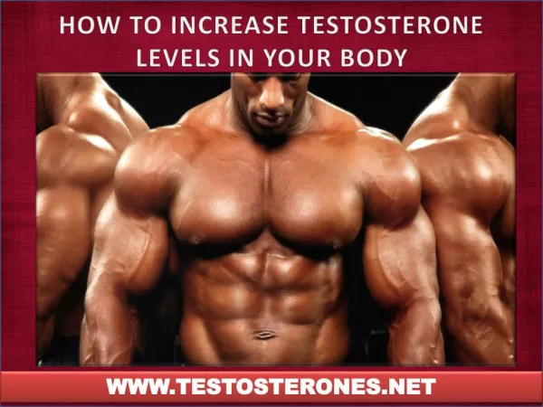 HOW TO INCREASE TESTOSTERONE LEVELS IN YOUR BODY