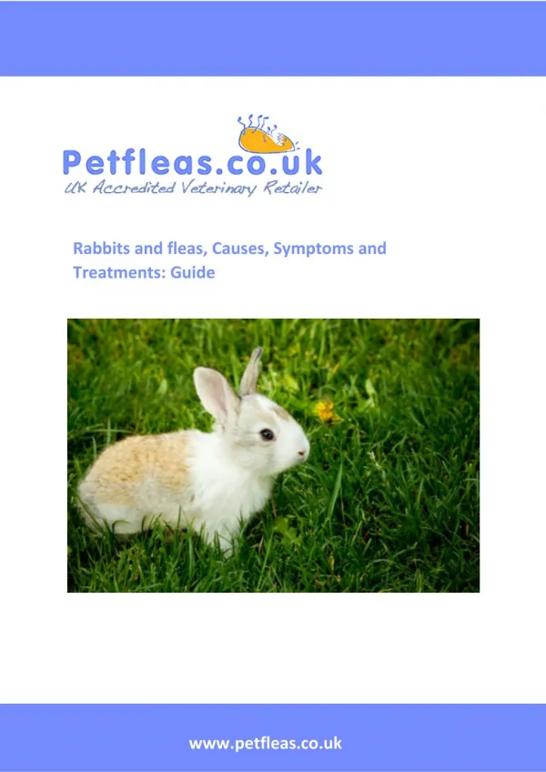 Rabbits and fleas, Causes, Symptoms and Treatments a Guide