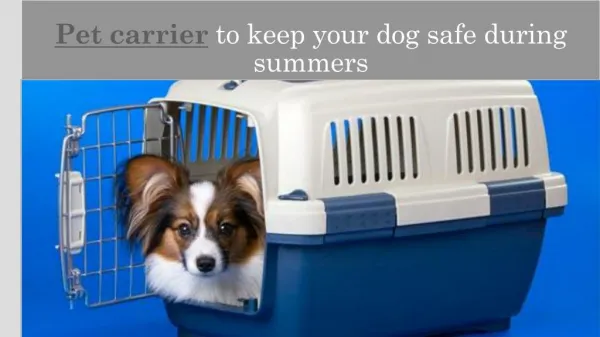Pet carrier to keep your dog safe during summers