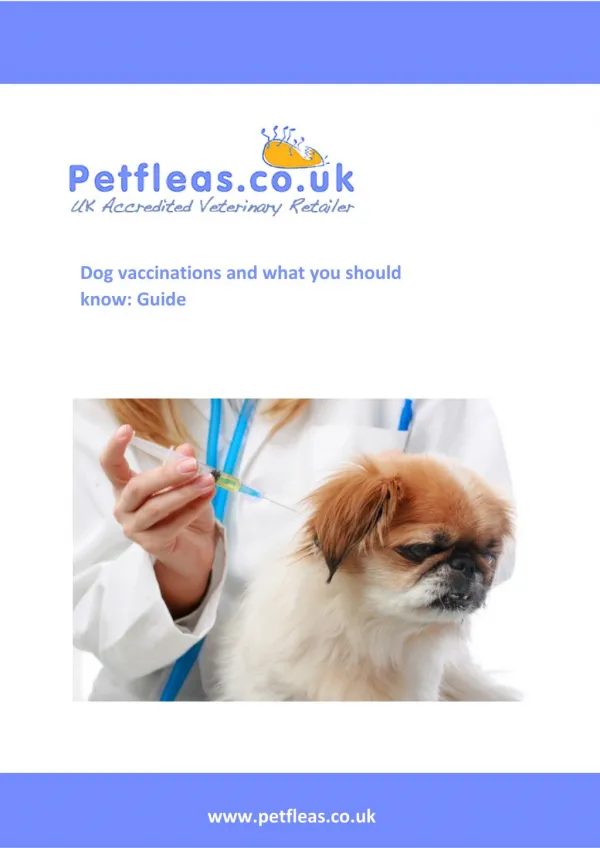 Dog vaccinations and what you should know a Guide