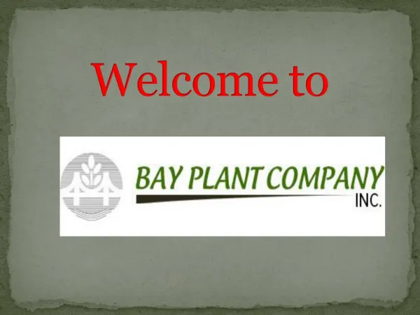 Buy plants online in CA
