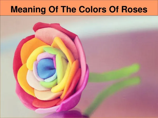 Meaning Of The Colors Of Roses