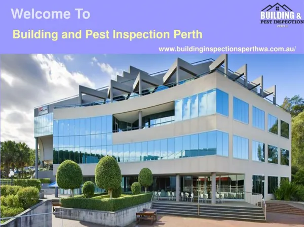 Pest and Building Inspections Perth
