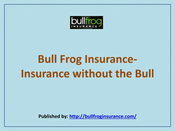 Insurance Without The Bull