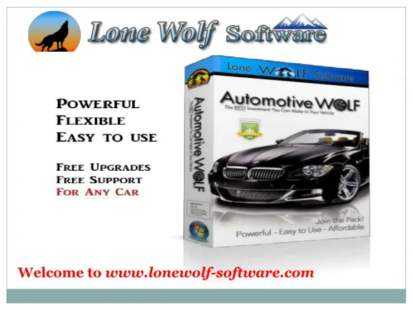 Automotive Wolf car care software at Lone Wolf Software