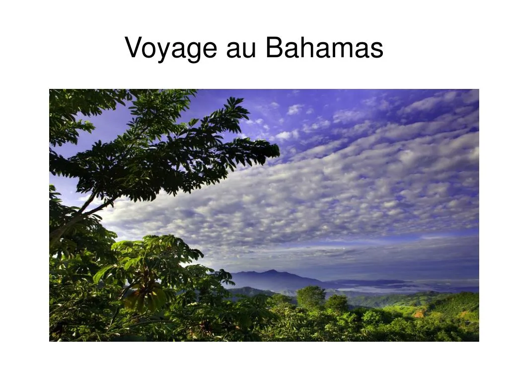 voyage au bahamas