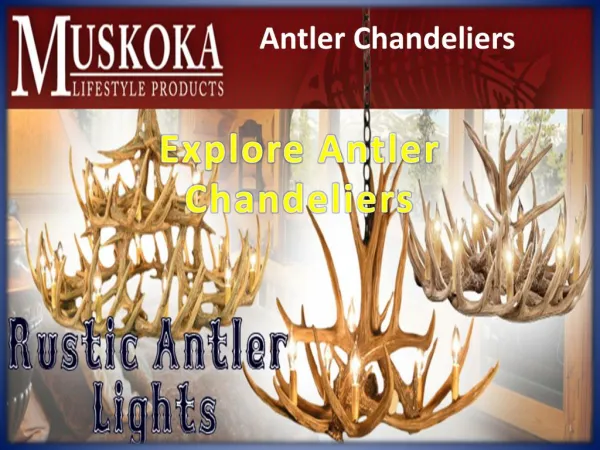 Explore Antler Chandeliers