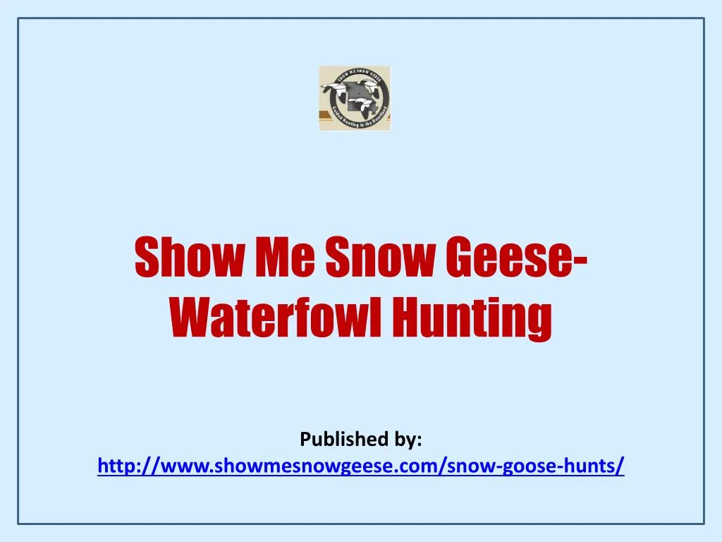 show me snow geese waterfowl hunting