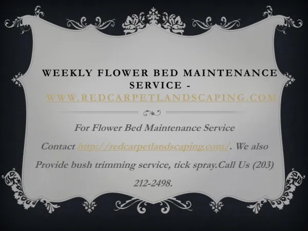 Weekly Flower Bed Maintenance Service - www.redcarpetlandscaping.com