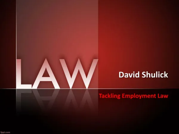 David Shulick: Tackling Employment Law