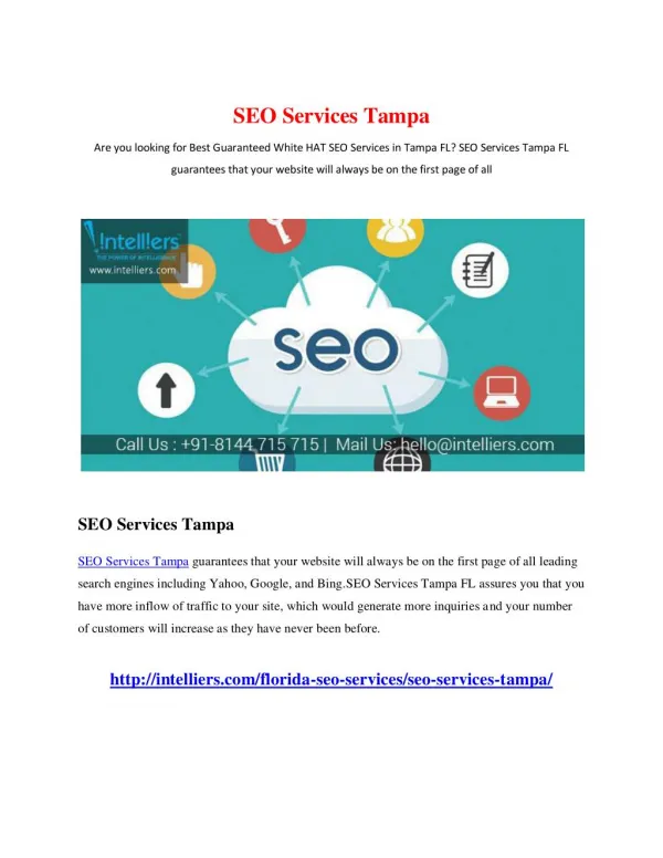 SEO Services Tampa