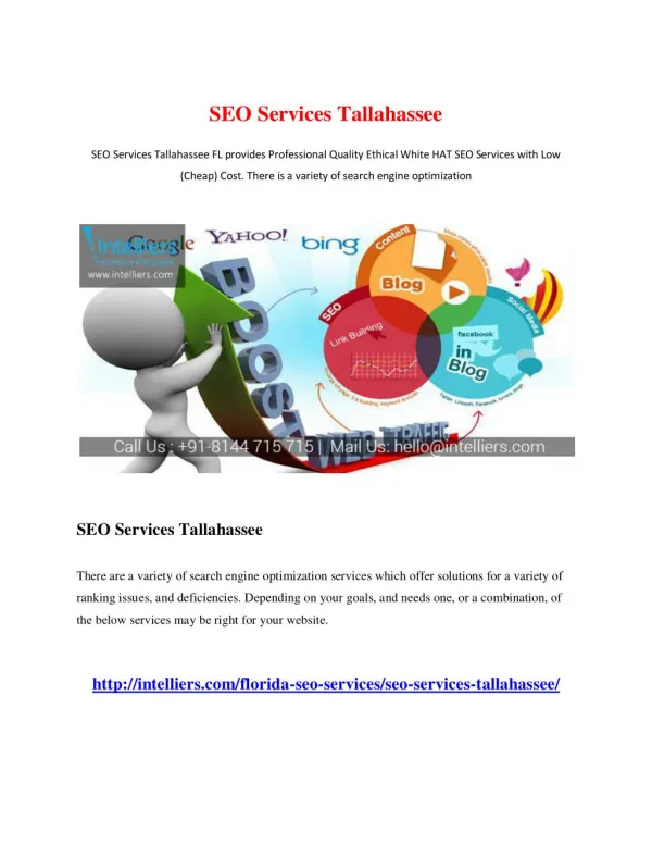 SEO Services Tallahassee