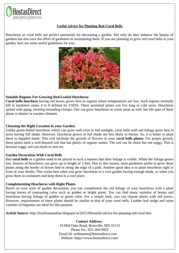Useful Advice for Planting Red Coral Bells