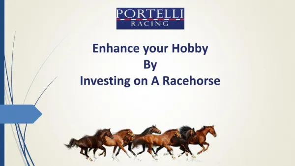 Enhance your Hobby By Investing on A Racehorse