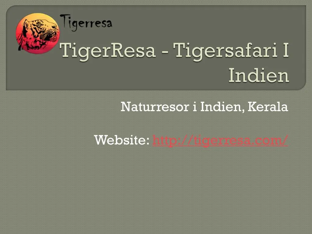 tigerresa tigersafari i indien