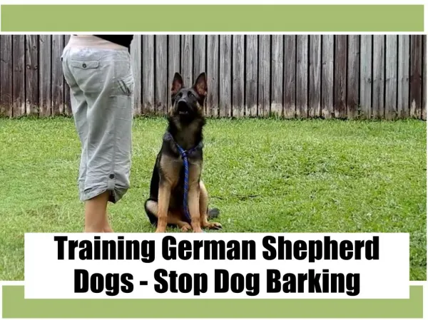 Training German Shepherd Dogs - Stop Dog Barking