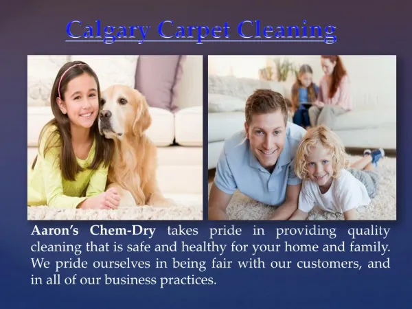 Calgary Pet Stain Removal