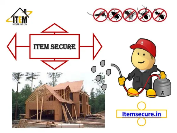 Best Anti-Termite Treatment for Your Home or Building