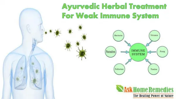 Ayurvedic Herbal Treatment For Weak Immune System