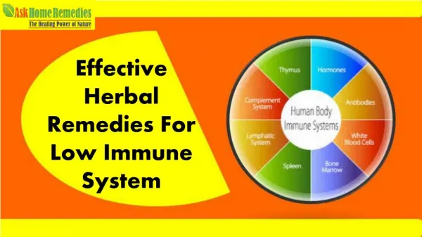 Herbal Immunity Boosting Supplements To Increase Immunity Of Body
