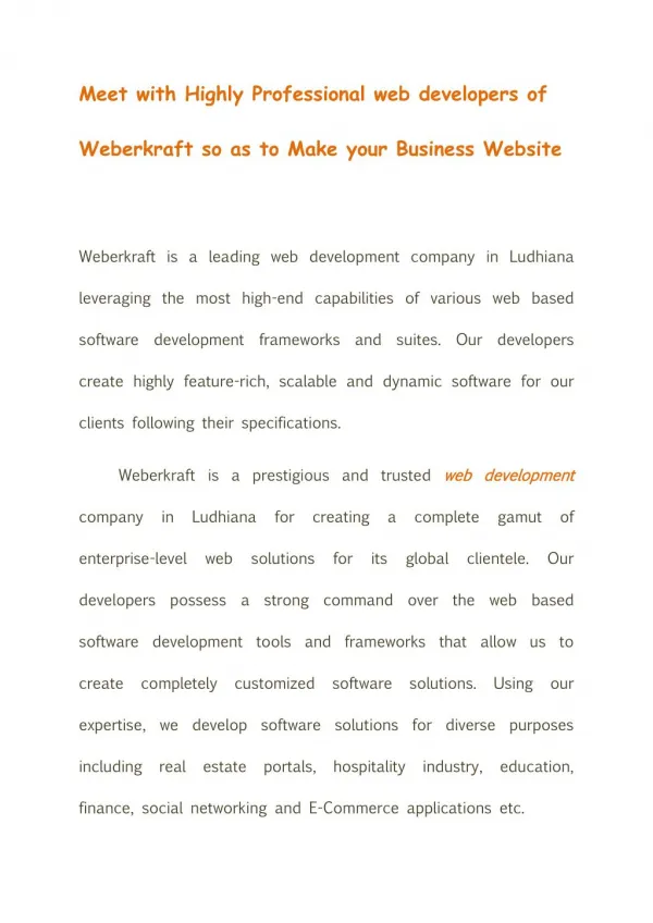Web Development Company in Ludhiana