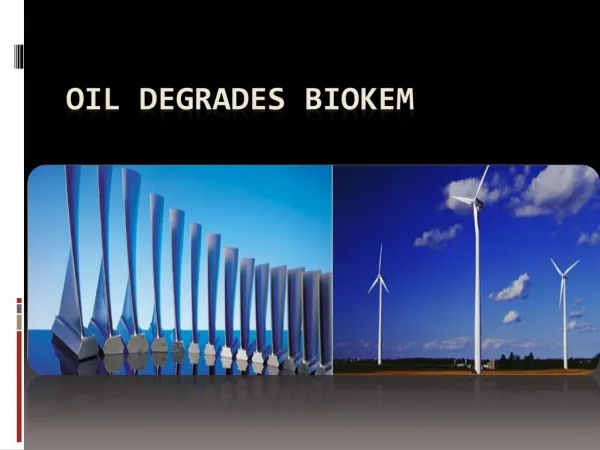 Oil Degrades of Biokem