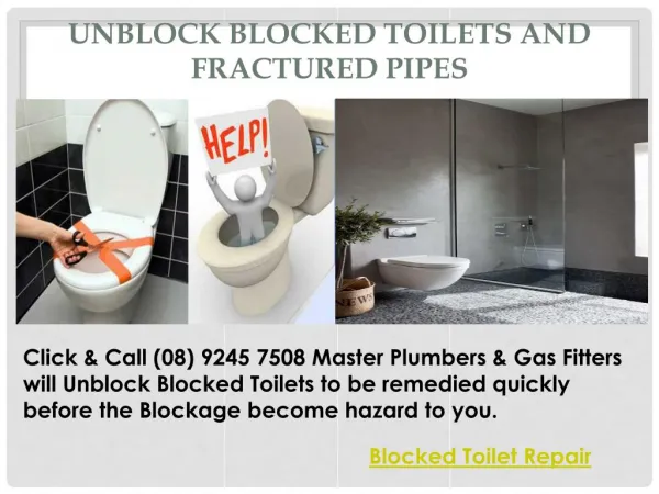 Blocked Toilet Repair