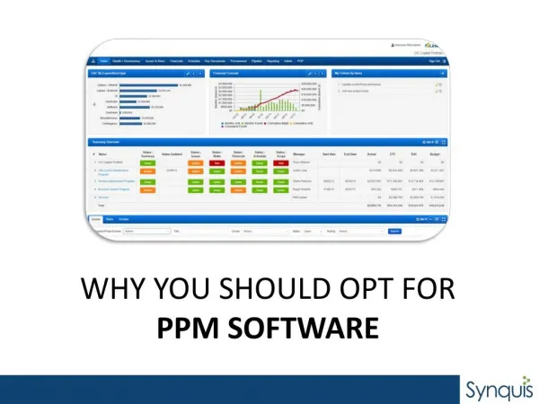 Why you should opt for PPM Software