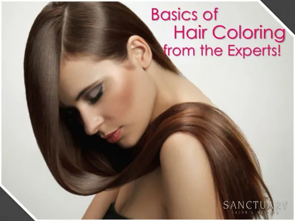 Basics of Hair Coloring from the Experts!
