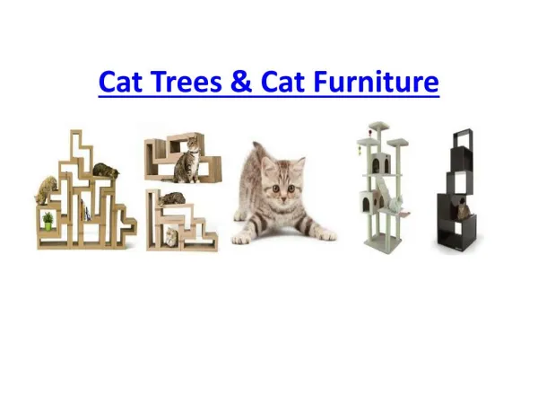 Cat trees and Cat Furniture - Best Gift For Your Cats