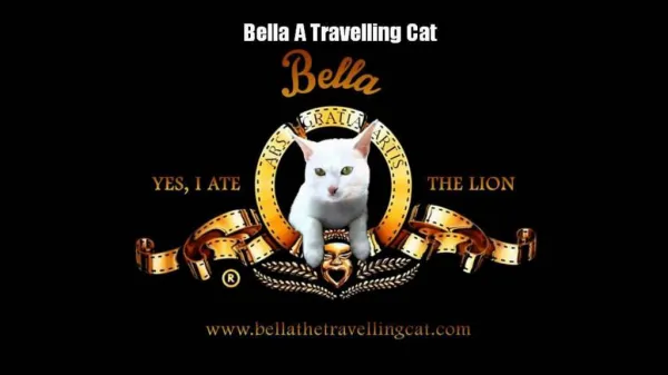 Bella Travelling Cat UK
