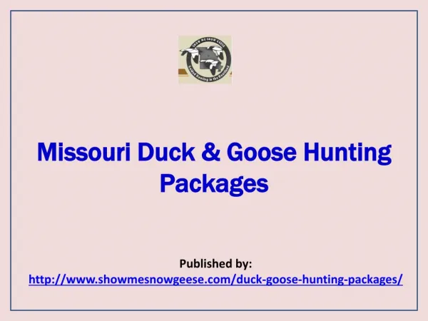Show Me Snow Geese-Missouri Duck & Goose Hunting Packages