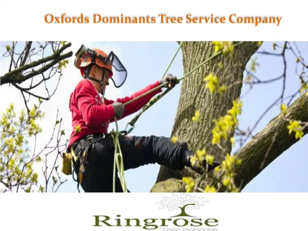 Tree Pruning Service in Wantage