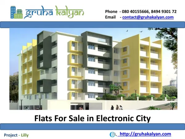 Flats for sale in electronic city