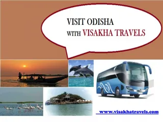 Travel Agency and Tour Operator in Odisha - slide 1